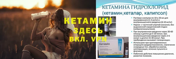 индика Аркадак