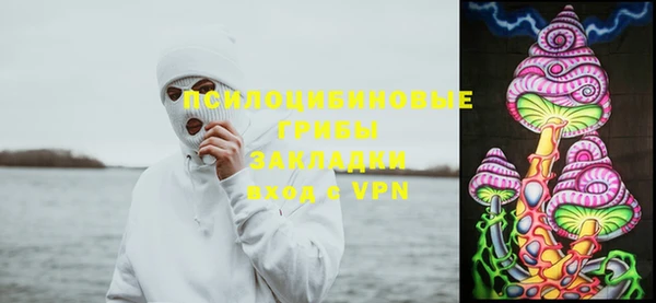 мяу мяу мука Арсеньев