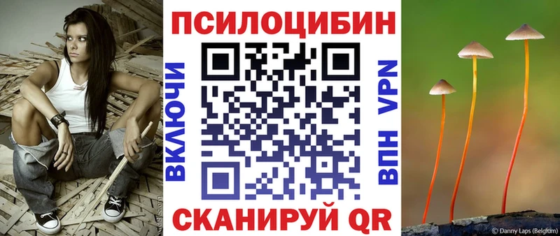 Галлюциногенные грибы Magic Shrooms  наркота  Краснослободск 